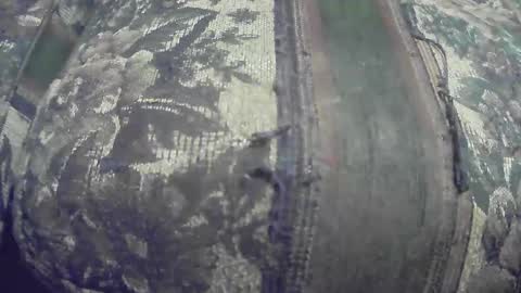 tightywhities52 stream preview