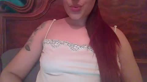 timida222 stream preview