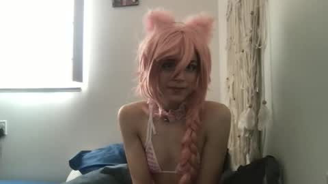 toxiicnekoo stream preview