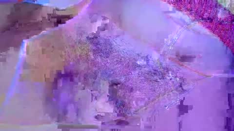 toysalmonn stream preview