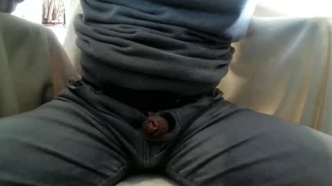 traeumeer_2026 stream preview