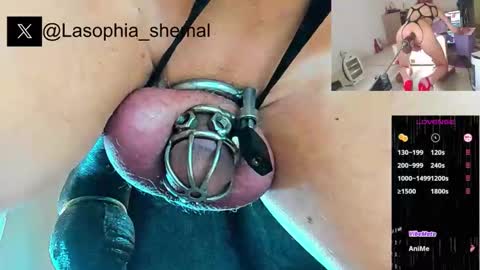 trasteverina live stream