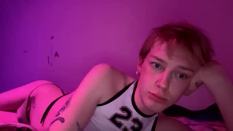 twinkxl20 stream preview