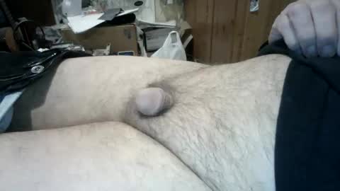 uk_exhibitionist70 stream preview