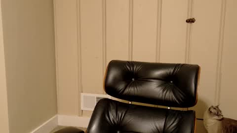 undecidedflame live stream