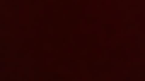 unholyhollyxxx stream preview