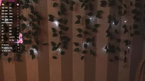 vacation_time live stream