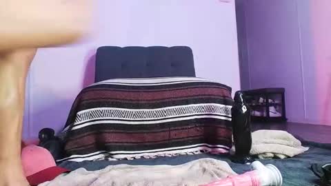 viniveexxiera stream preview