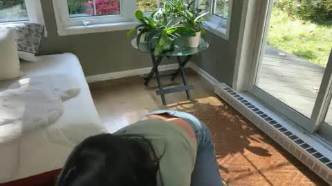 viviannexxx2022 stream preview