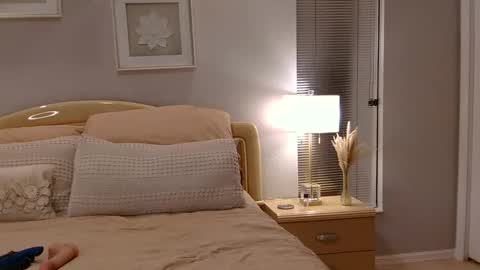 vivimaga live stream