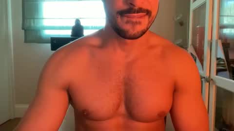 vivisasagregre live stream