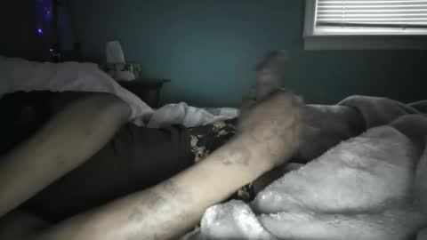 wettydreamzent stream preview