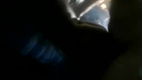 wetwet313 stream preview