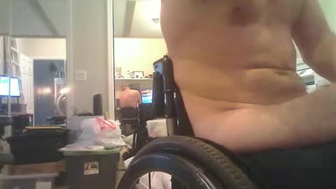 wheelhorny stream preview