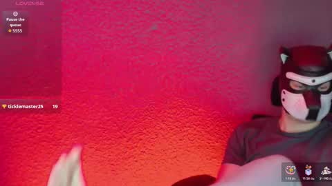 white_pup stream preview