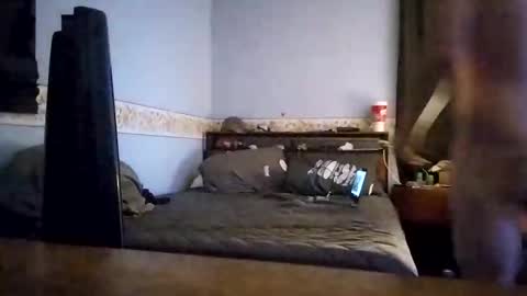 whodunnitwrangler stream preview