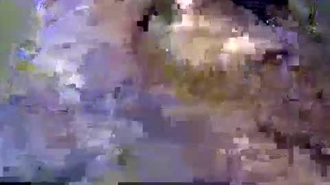 wicked13hannah stream preview