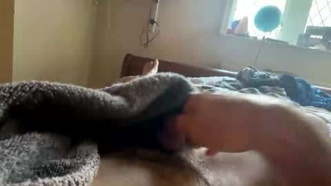 wildt123 stream preview