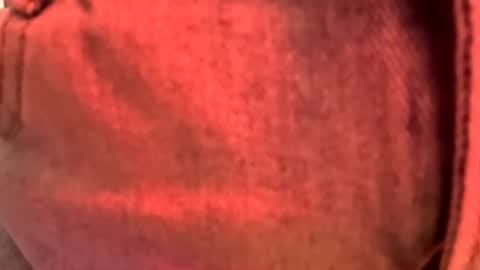 winonacrane stream preview