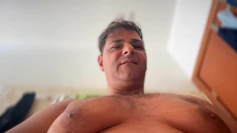 witebull83 stream preview