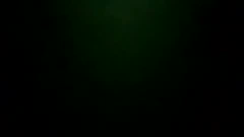 wololontagi live stream