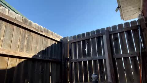 xoxomommy98 stream preview