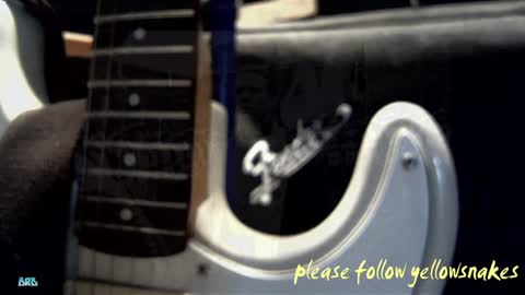 yellowsnakes live stream