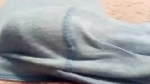 yummypackage live stream