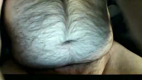 zeddie71 live stream